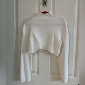 Zara Cropped Turtleneck Sweater